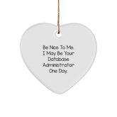 Funny Database Administrator Gifts - Heart Ornament for Friends, Coworkers, Family - 'Be Nice To Me. I May Be Your Database Administrator One Day.' - Image 1
